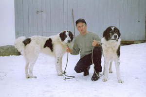 Dorin Ghiuta